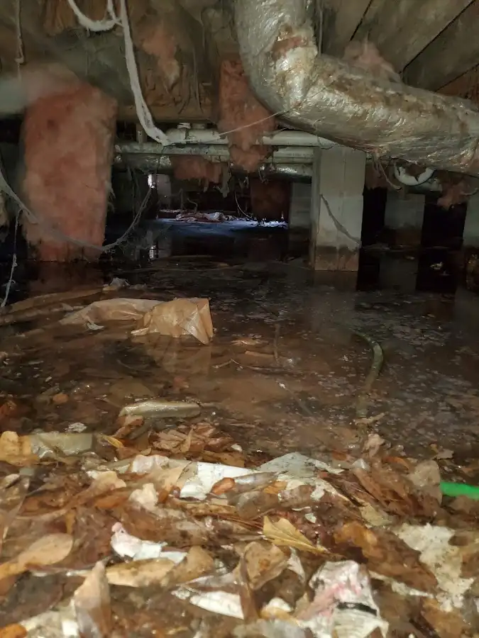 Crawl space flood assessment for Leak Detection & Repair in El Granada